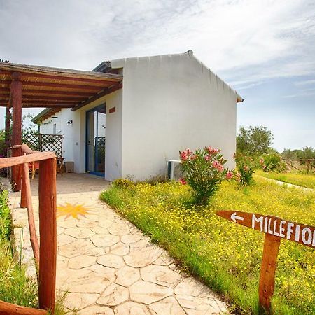 Agriturismo Mieleamaro Villa Олбия Екстериор снимка