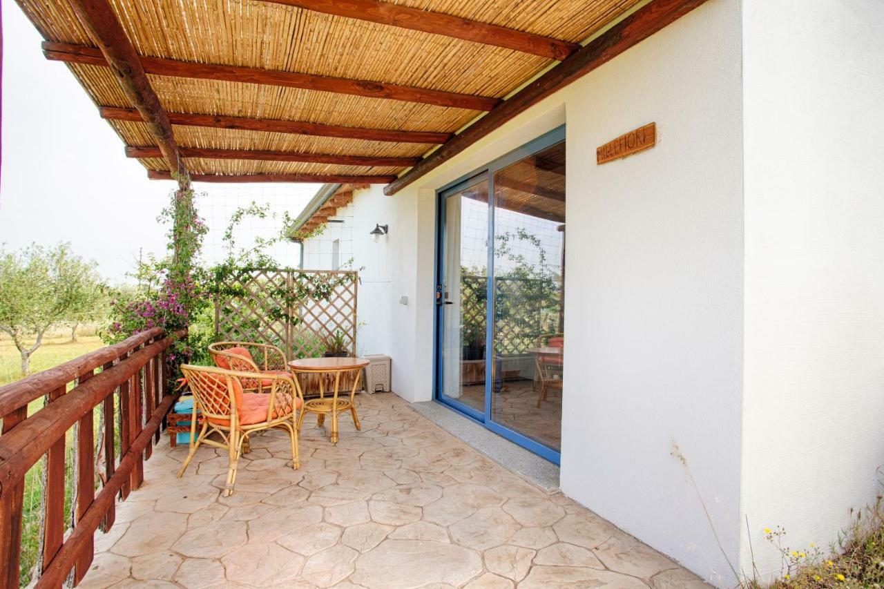 Agriturismo Mieleamaro Villa Олбия Екстериор снимка